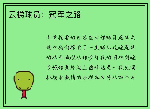 云梯球员：冠军之路